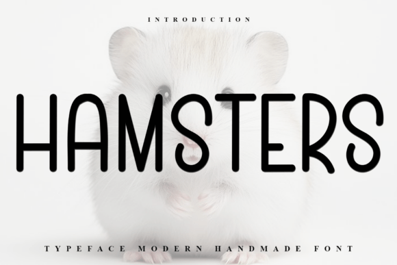 Hamsters Font: A Modern Display Typeface for Editorial Design
