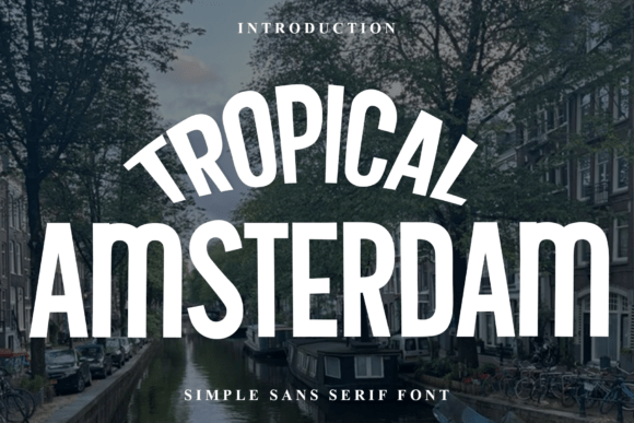 Tropical Amsterdam: A Festive Display Font for Holiday Designs